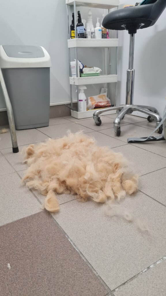 Kammida või pügada karvad igal pool!