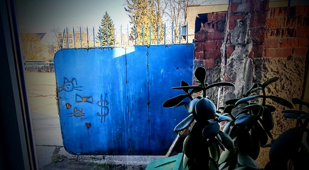 20260311 154805 edit