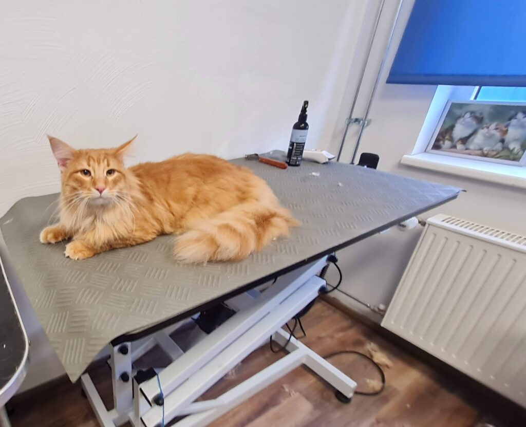 20260311 165030 edit